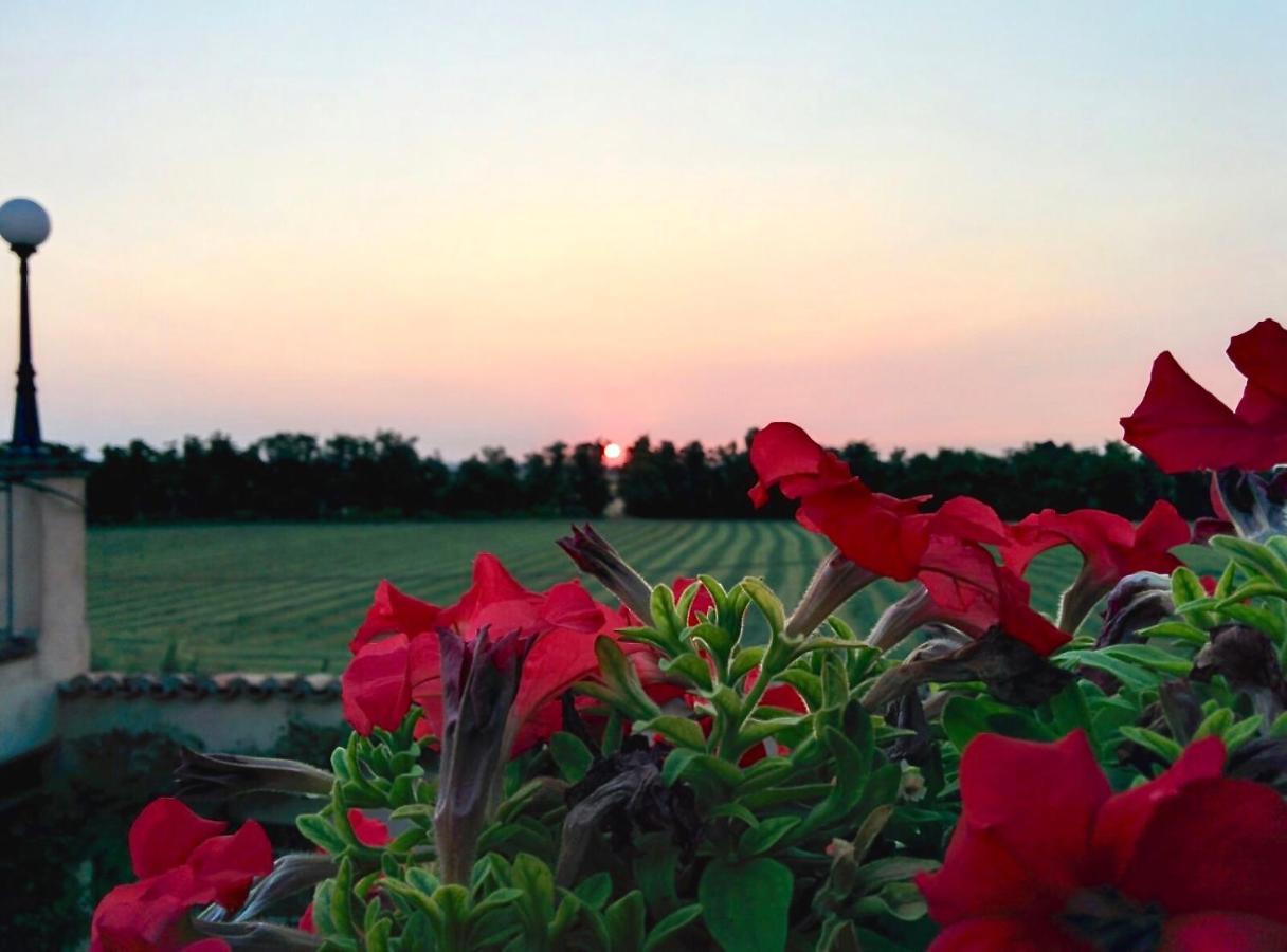Agriturismo Corte Bebbi Bibbiano  外观 照片